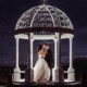 Wedding couple pictured at the new Wedding Bandstand at The Waterside Hotel at night (Photo: David Long)